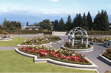 UBC Rose Garden